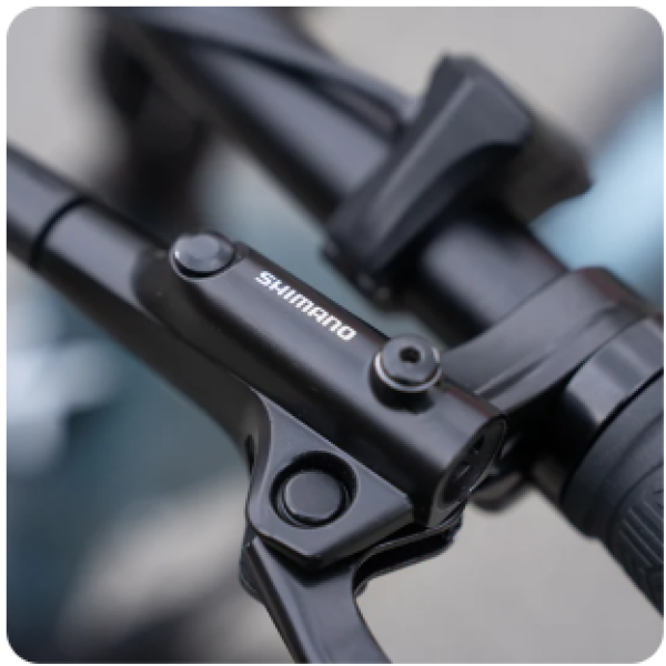 E-Bike Kemoway P7, 110NM, 720WH, blau